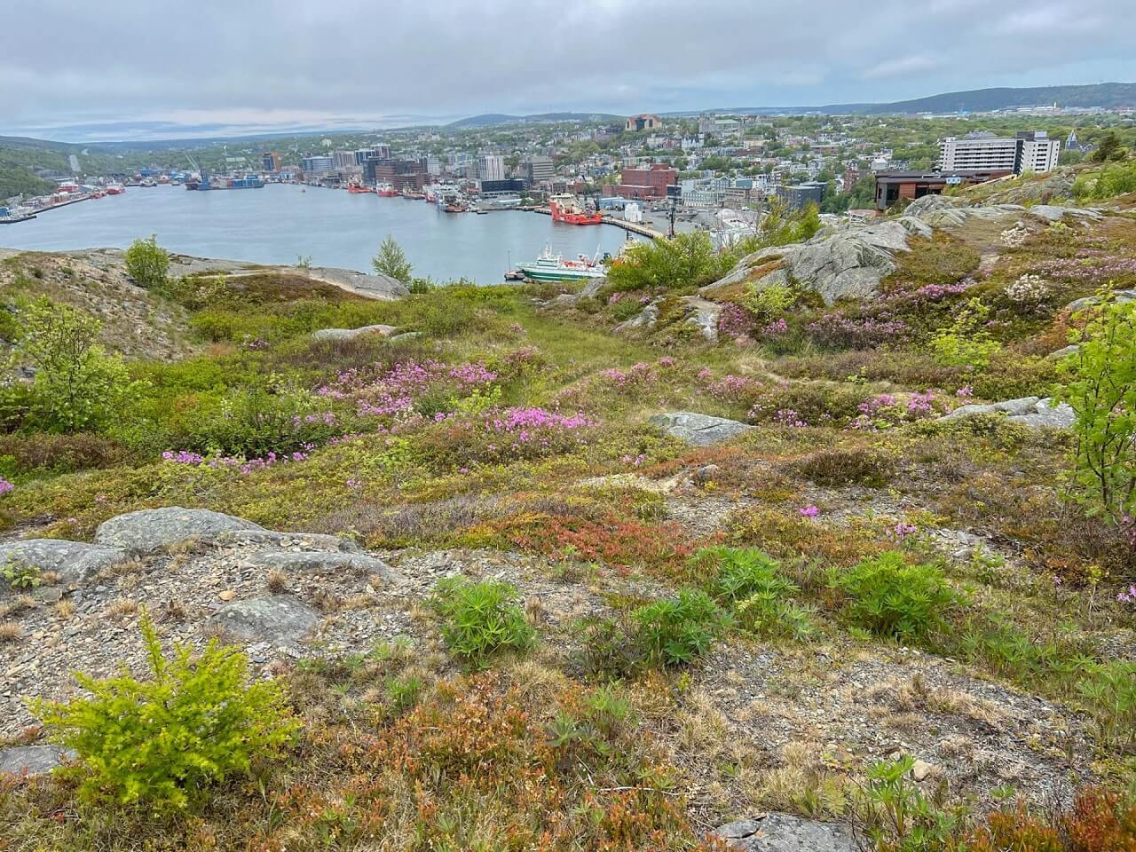 a view of St. John's from the North Head Trail of Signal Hill