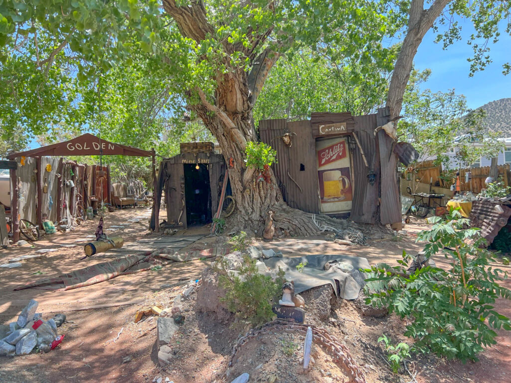 The Mine Shaft and Cantina from the outside, with a 200-year-old cottonwood tree that Leroy "tattooed"