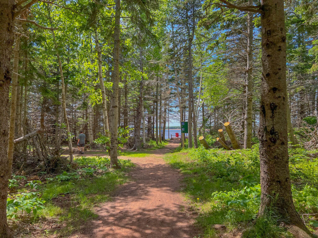 Hiking the Robinson Island Trail System