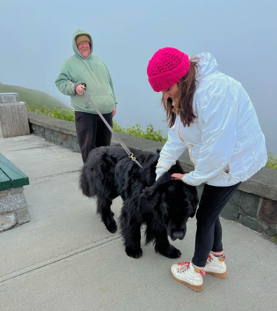 Newfoundland dog named Chief greeted us at the top of Signal Hill