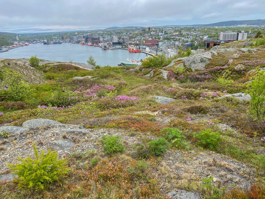 Another view of St. John's from the North Head Trail of Signal Hill