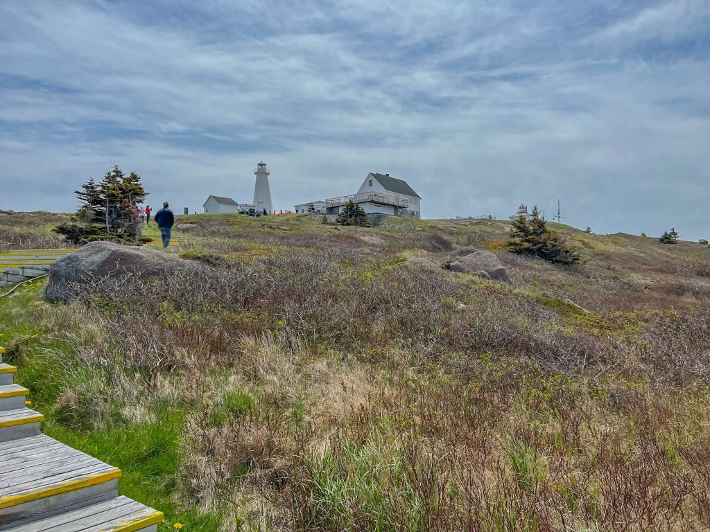 Trail to the Lighthouse of Cape Spear