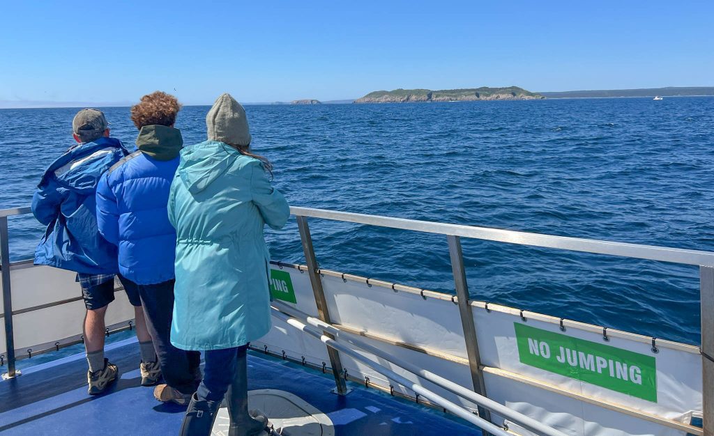 Easy to spot my cousin Jim ... the only person in Newfoundland wearing shorts