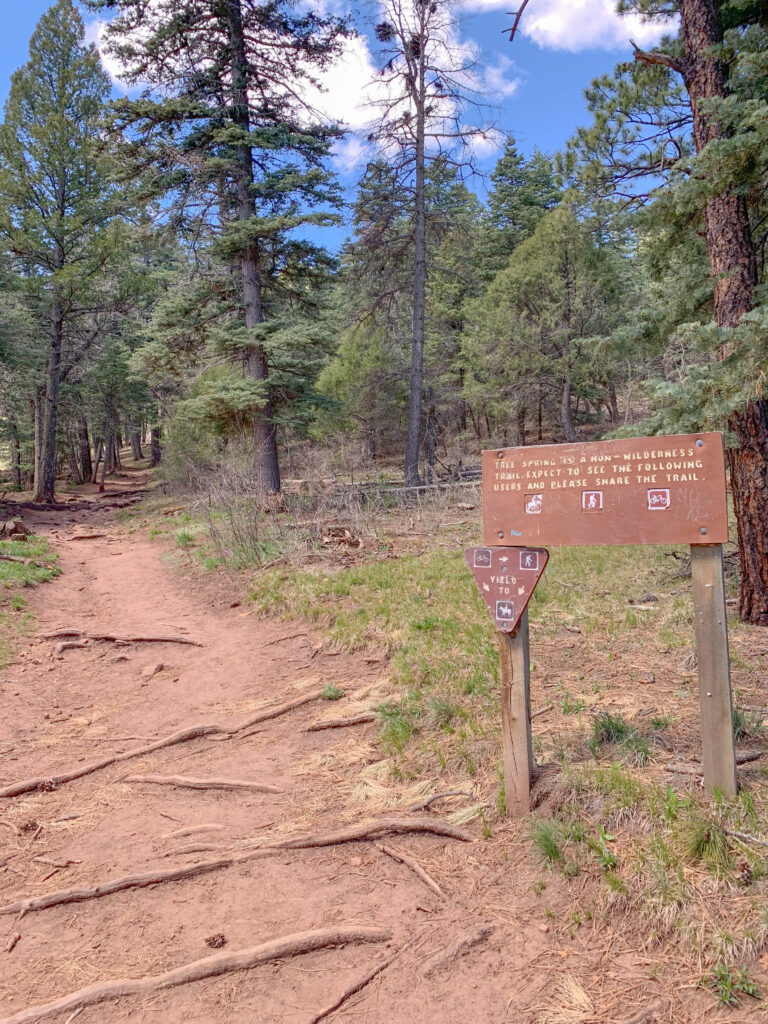 Tree Spring is a Multi-Use Trail