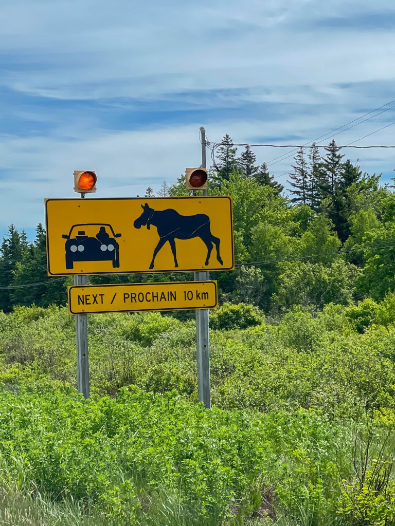 One of many moose signs along the journey