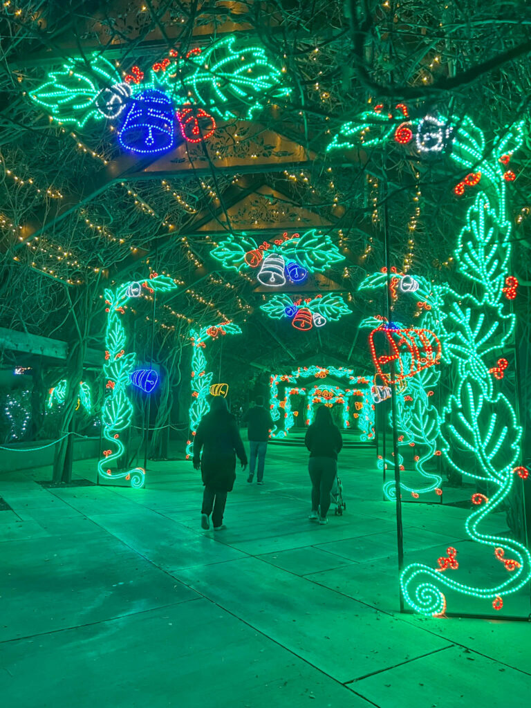 River of Lights at the ABQ BioPark Botanic Garden