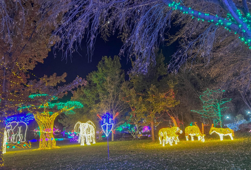 Animal safari at the River of Lights at the ABQ BioPark Botanic Garden