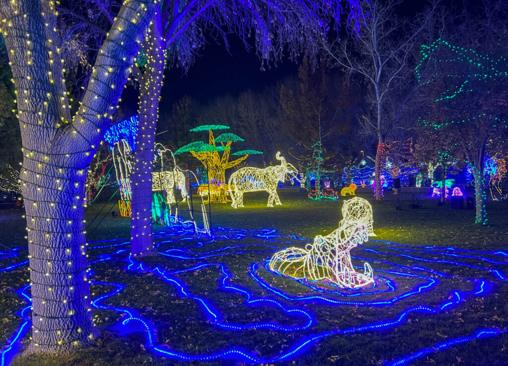 A cool hippo display at the ABQ BioPark River of Lights