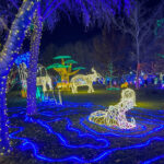 A cool hippo display at the ABQ BioPark River of Lights