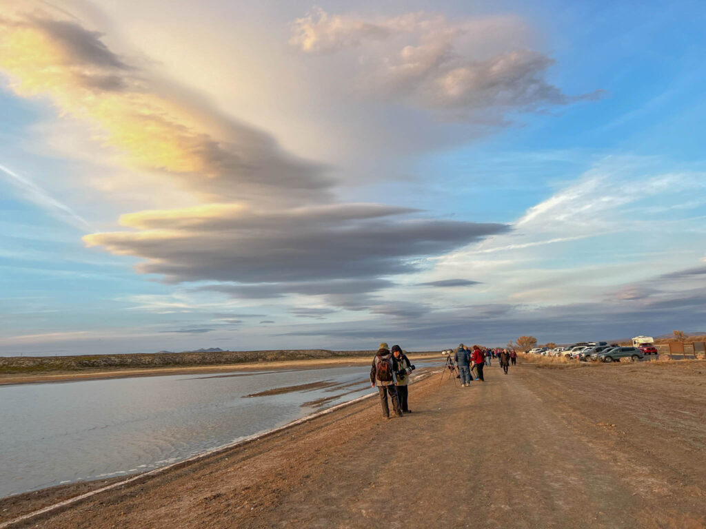 One of the many viewing areas at the Bosque del Apache National Wildlife Refuge.