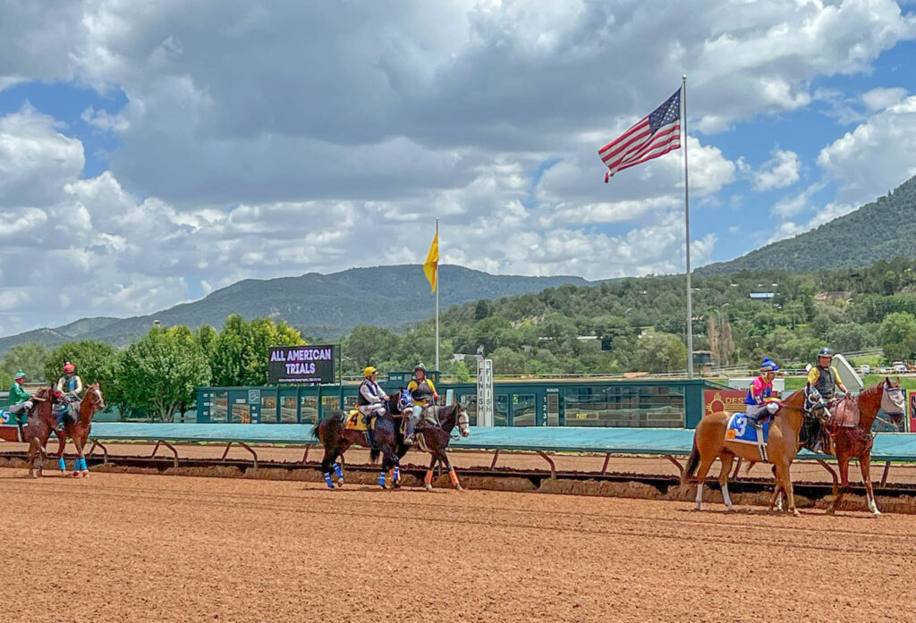 The horses arrive so that we can confirm we made a good choice or change our bets ... assuming you know what to look for.  I don't.  