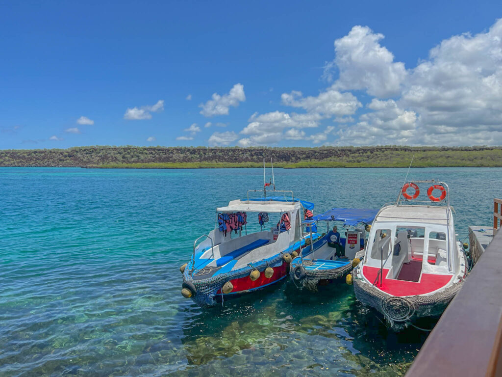 Some of the boats that shuttle people from Batra to Santa Cruz island.