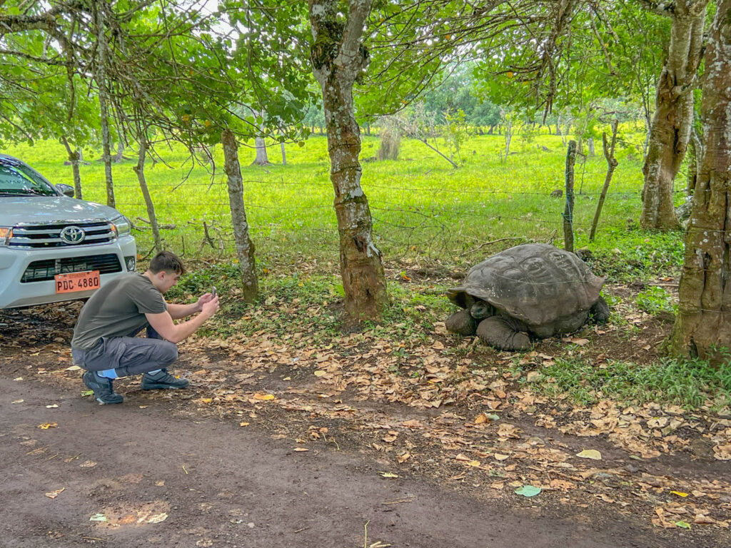 We spot our first large tortoise during the drive and hop out to take a photo