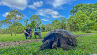 A more traditional photo opp with a Giant Tortoise