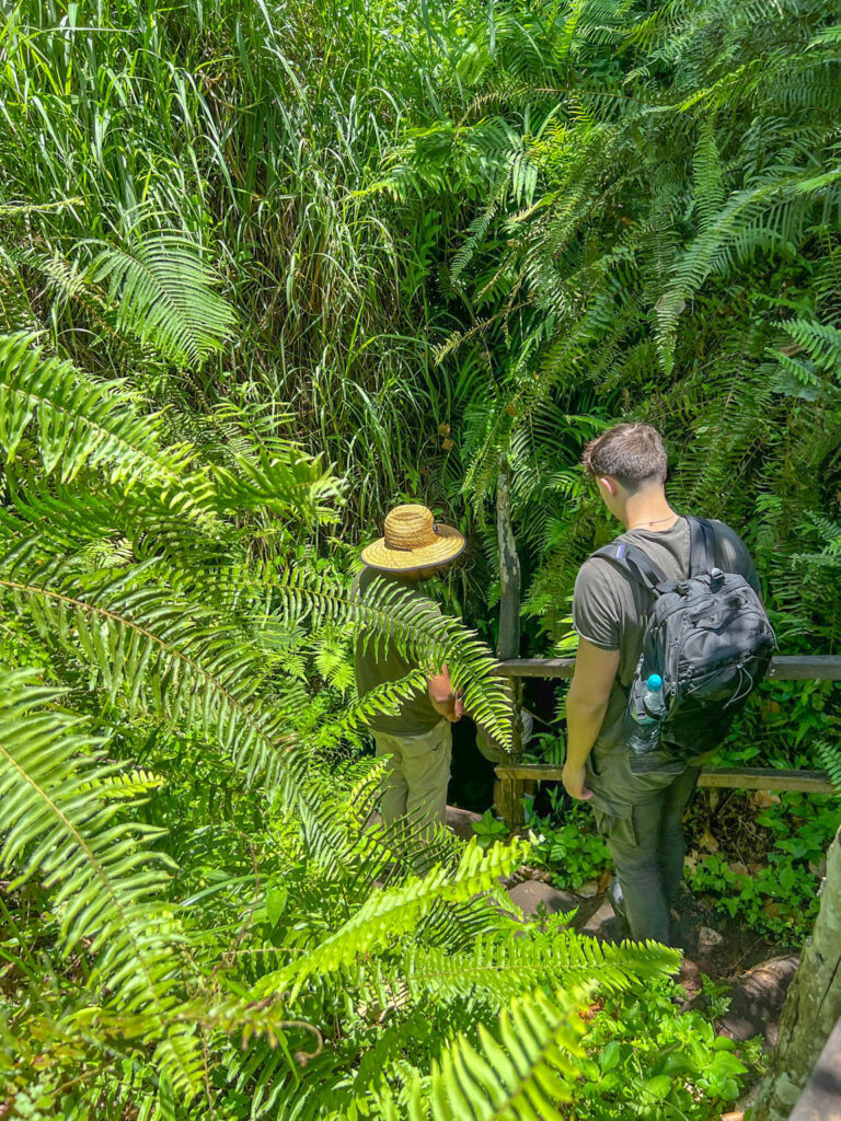 Descending into the lava tube