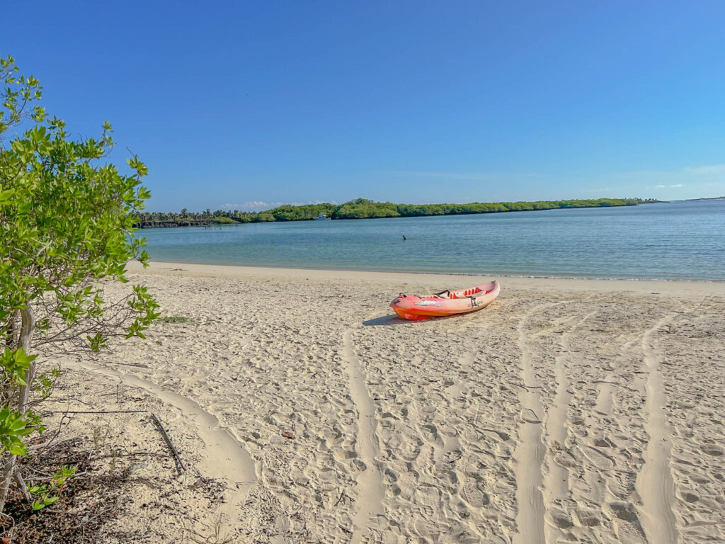 Kayak rental at Tortuga Bay Beach