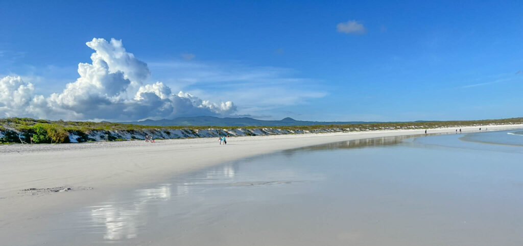 The beach at Tortuga Bay