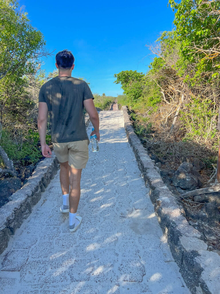 The 3km walkway to Tortuga Beach