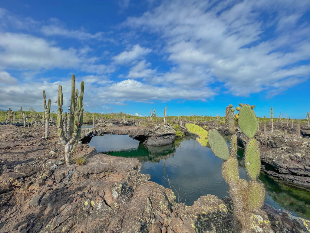 The landscape of Los Tuneles