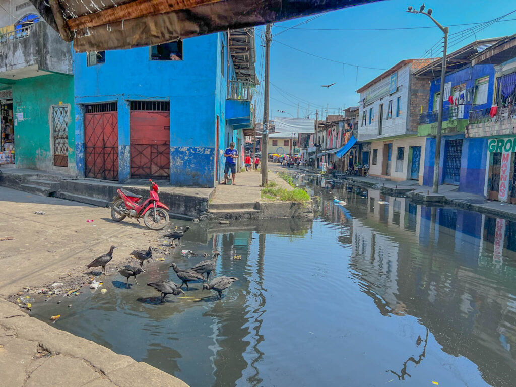 We park our boat and see black vultures scavenging for food