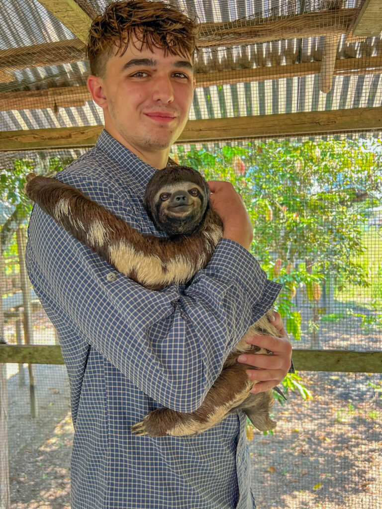 Hugging a two-toed sloth