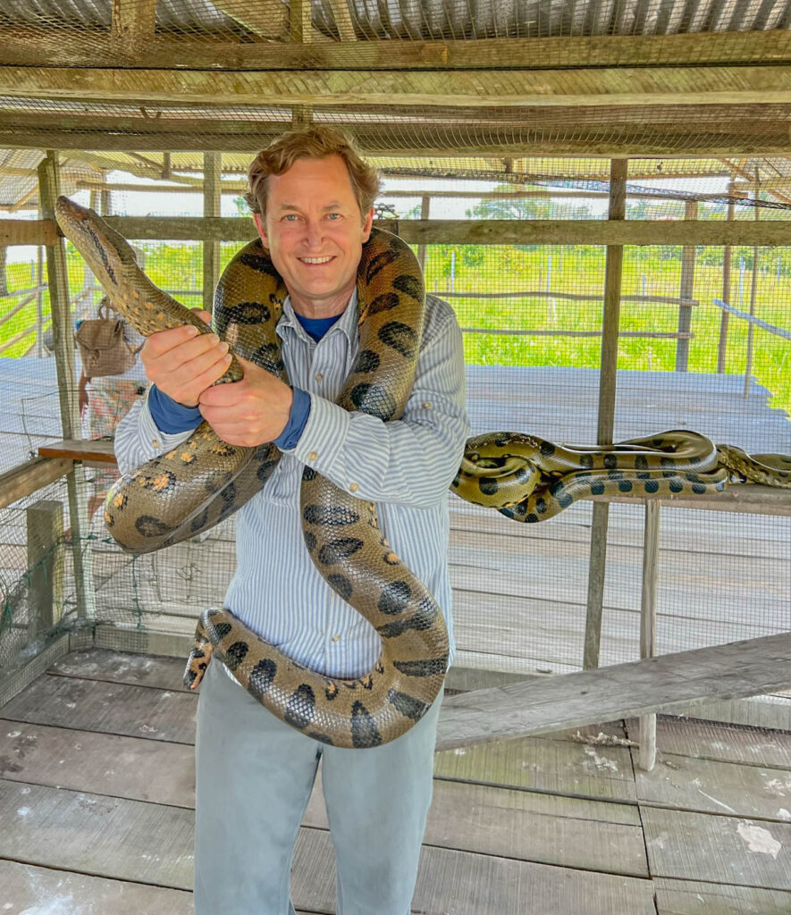 There are actually two anacondas in the enclosure.