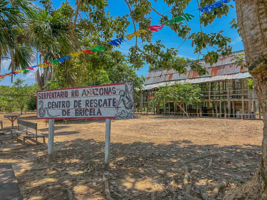 View of the small wildlife rescue center in the background