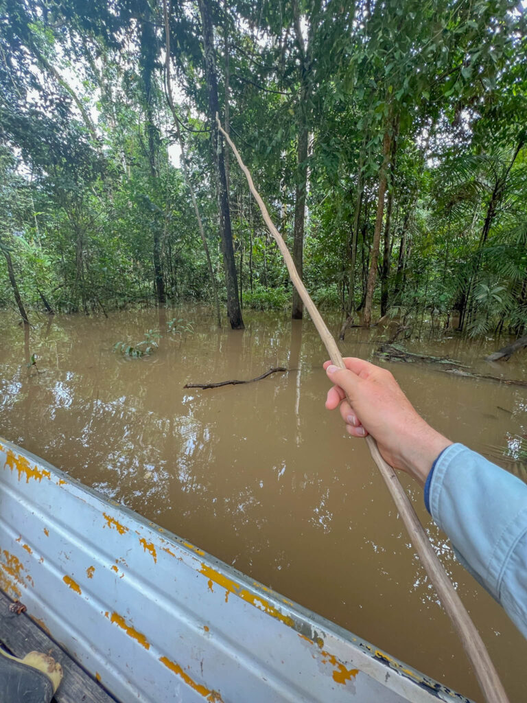 Our fishing pole is just a stick with a notch cut into the tip for the fishing line.  Simple but effective.