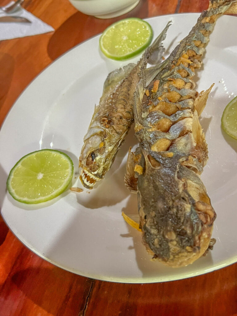 The catfish and piranha we caught as an appetizer for dinner