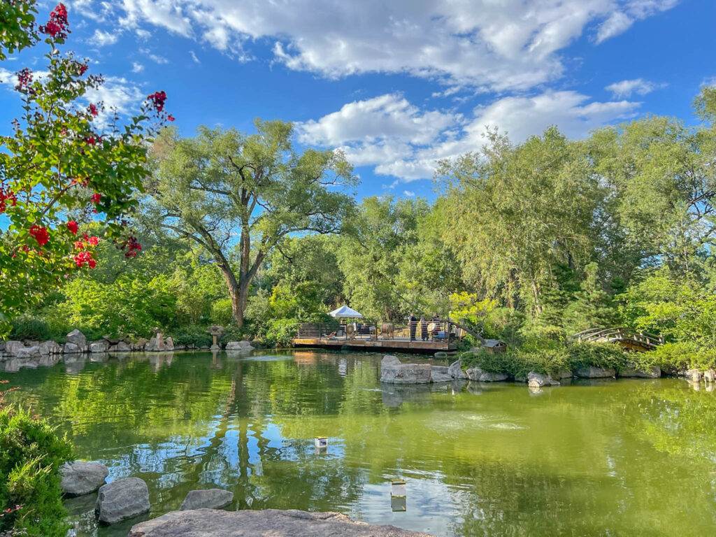 Japanese Garden at the ABQ BioPark Botanic Garden