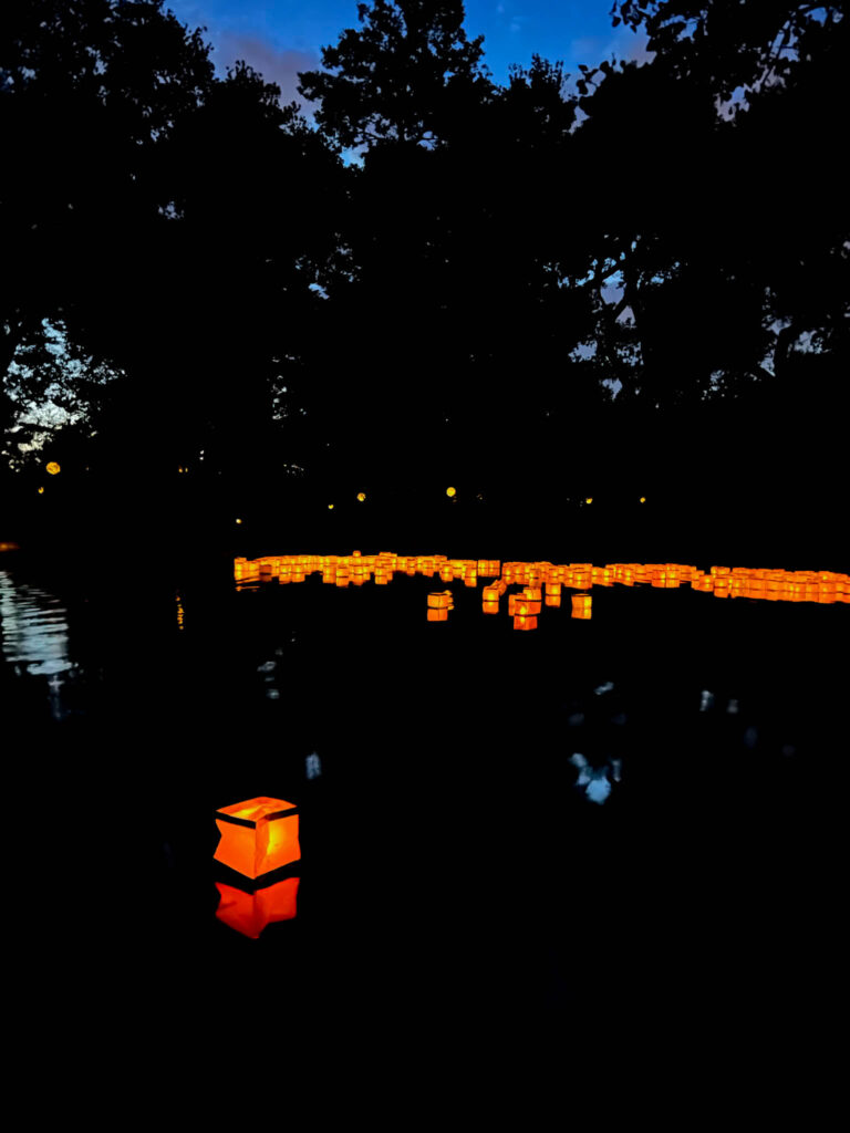 A lantern makes its way to the large gathering of other wishes