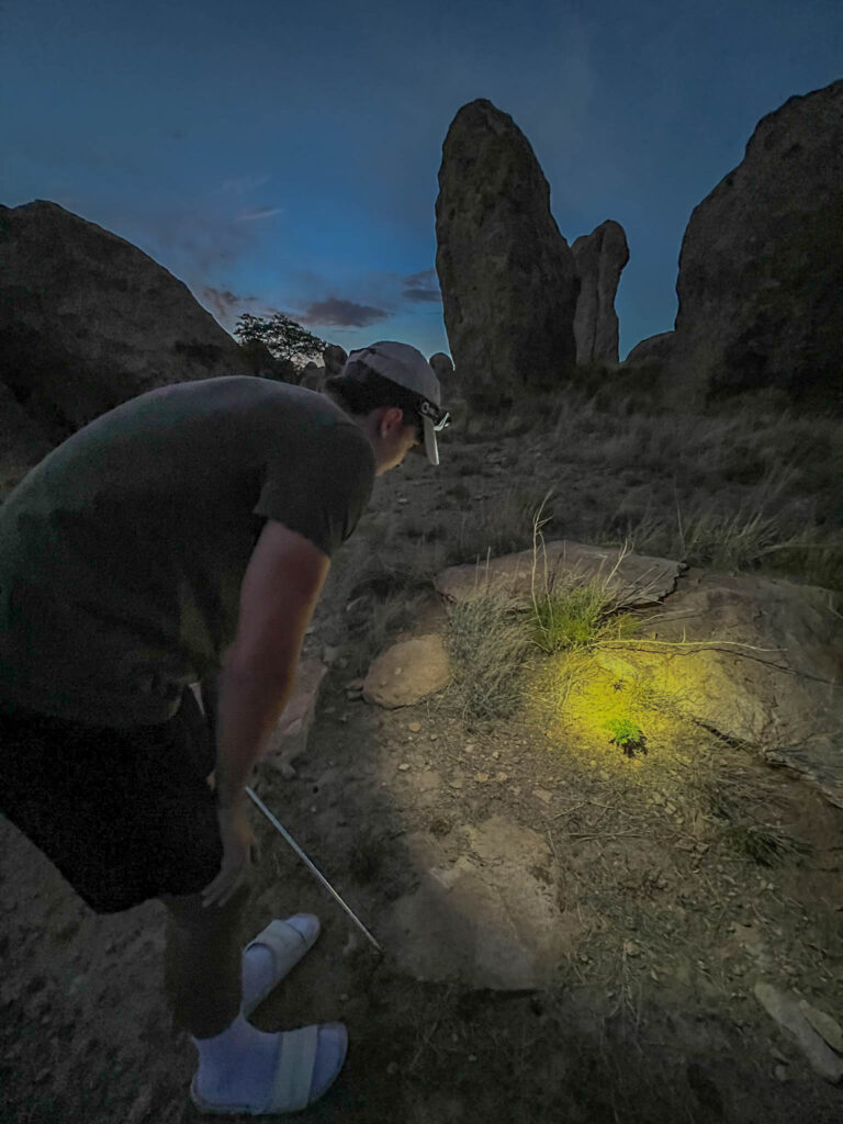 My son spots a tarantula