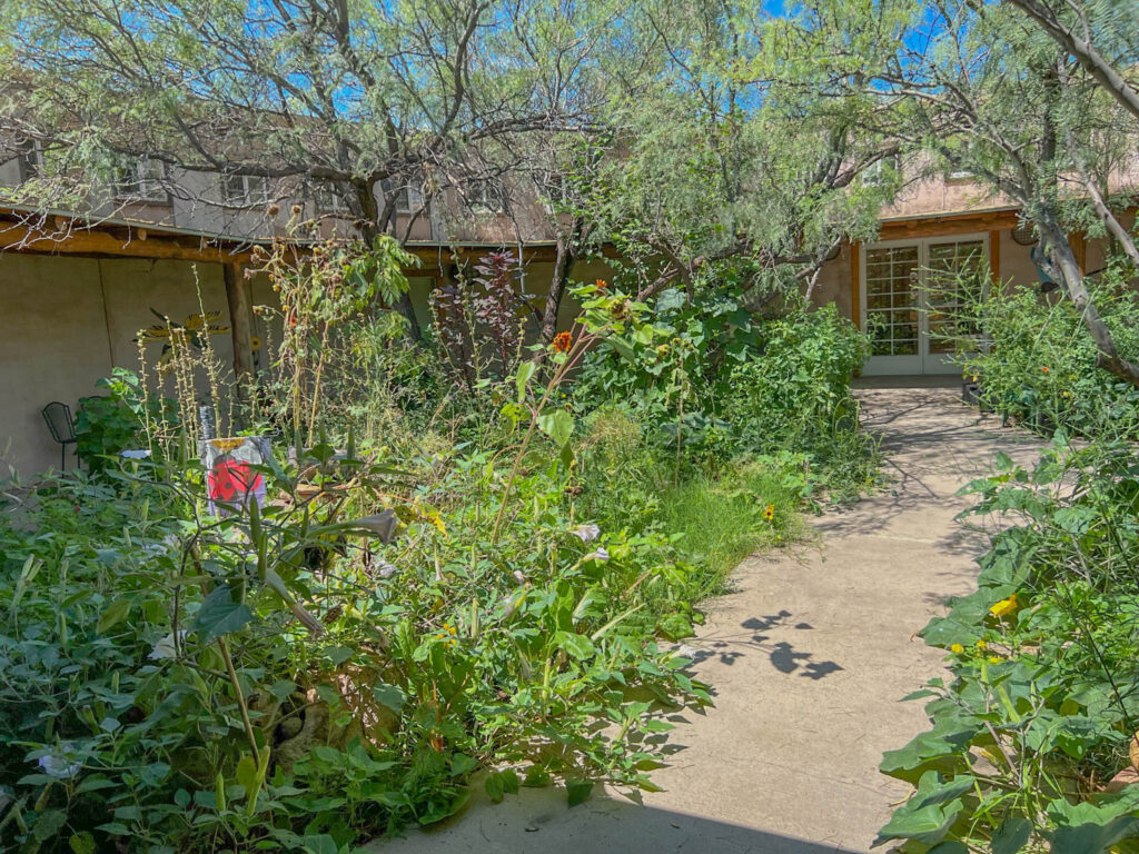 Courtyard inside the visitor center