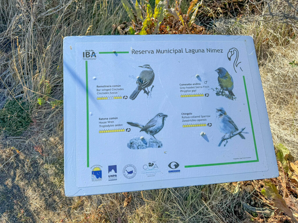 One of many helpful signs for bird identifications
