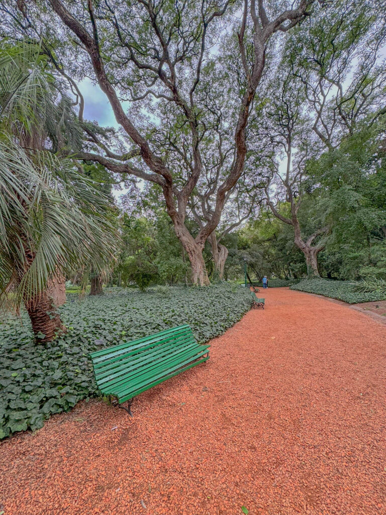 Walking through the botanic garden