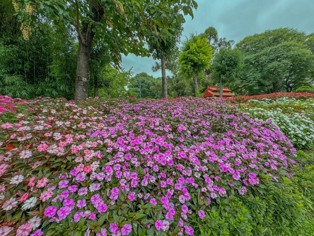 One of many colorful views in the garden