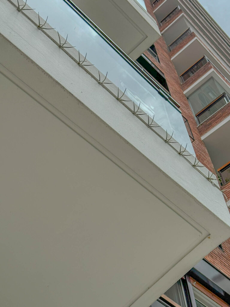 A deterrent to prevent people from climbing up on balconies from the street