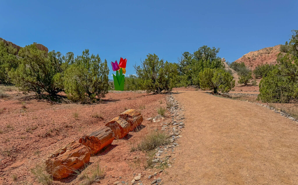 Making my way towards some large flowers in the distance.