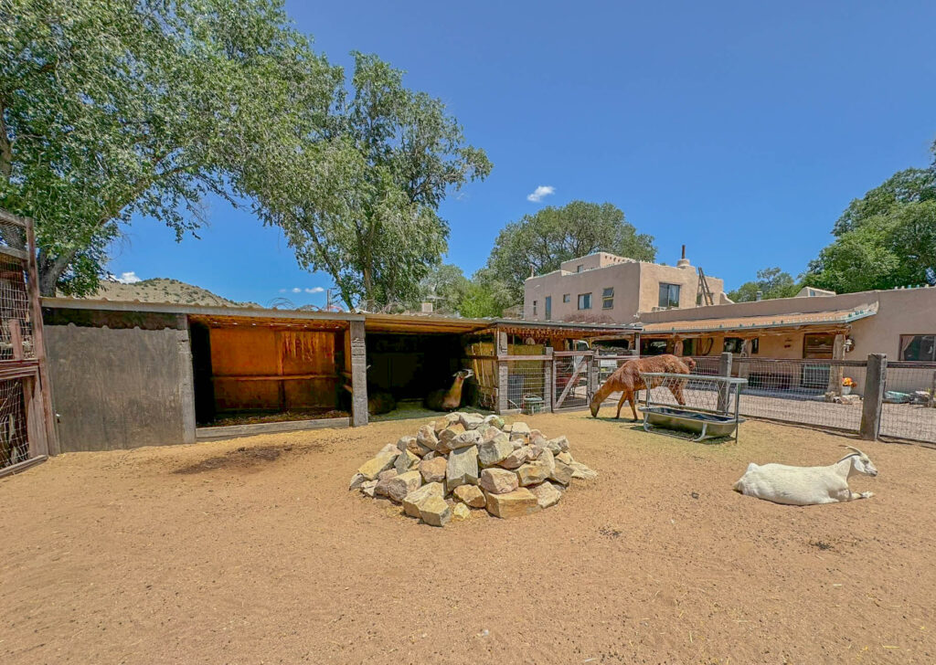 Cerrillos Petting Zoo