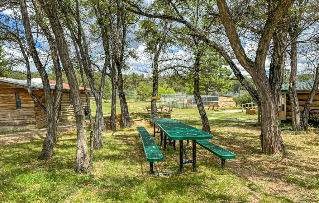 The grounds at Wild Spirit Wolf Sanctuary in Candy Kitchen, New Mexico