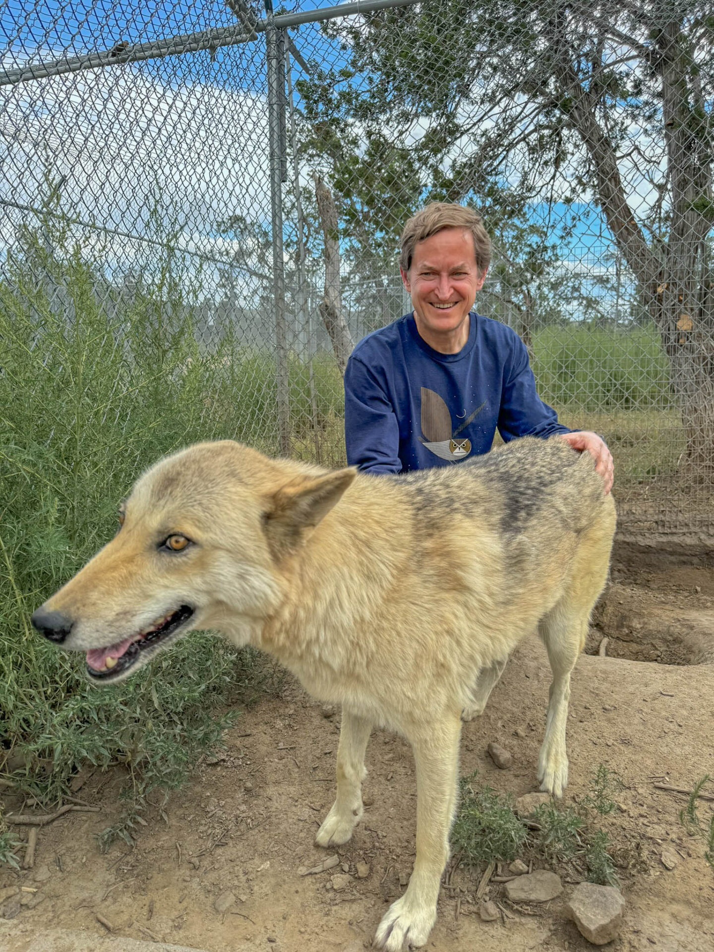 My first opportunity to meet a high content wolf who is receptive to meeting people. Most wolves prefer to keep their distance.