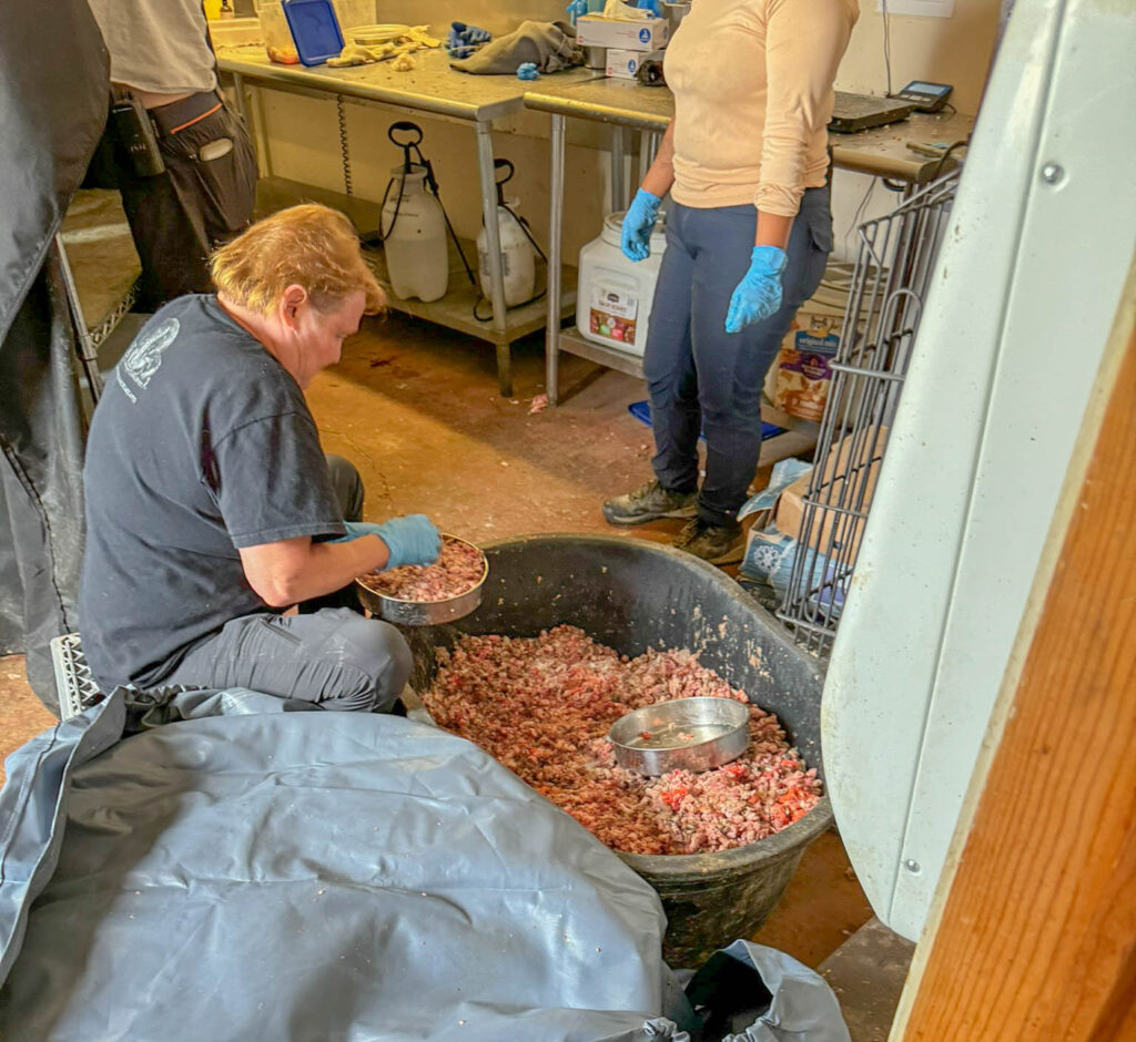 Preparing the daily food - and you thought feeding your pets is a chore.  