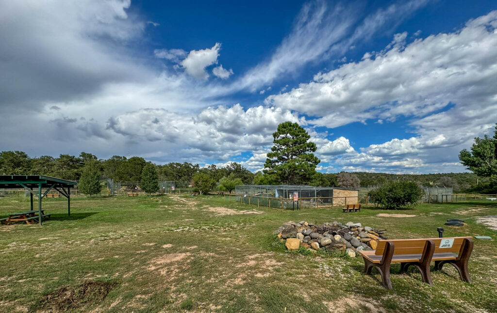 Another view of the grounds of the Wild Spirit Wolf Sanctuary.