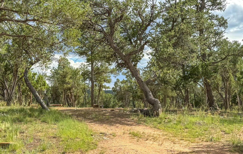 The campground at Wild Spirit Sanctuary.