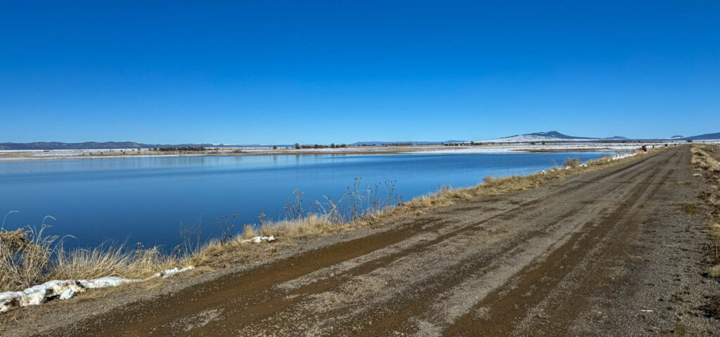 A view of the road where many birders stop to search for birds.