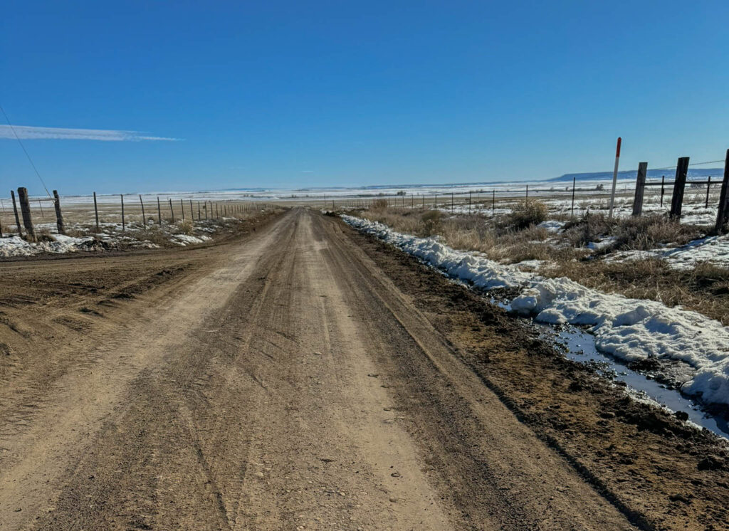 The grasslands and agricultural land around the refuge are also popular spots for birders