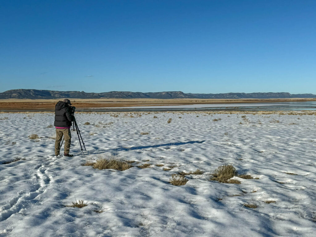 A birder sets up a spotting scope to search for distant birds in the water of a another lake in the area.