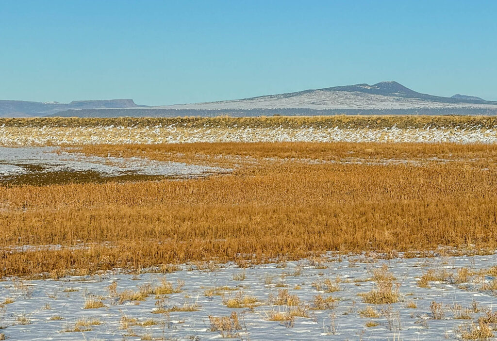 Here's another view of the patches of snow at a distance