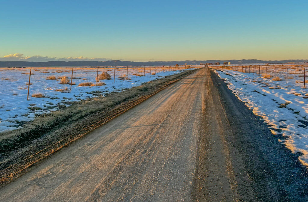 More grassland birding within Maxwell National Wildlife Refuge