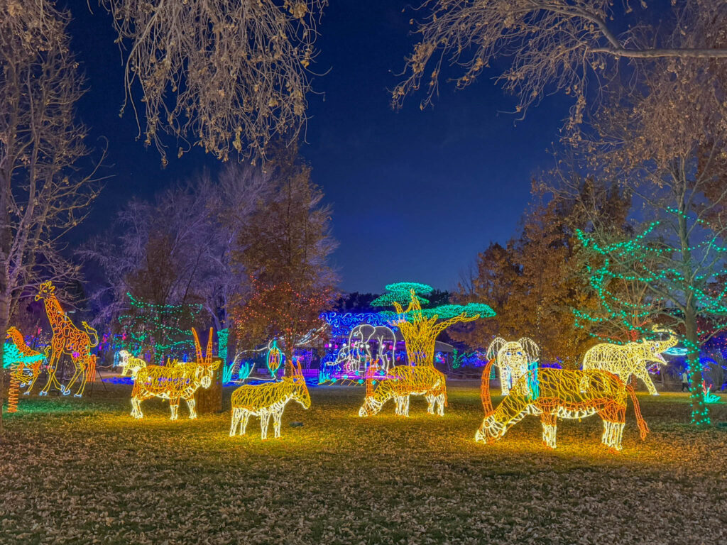 Animal safari at the River of Lights at the ABQ BioPark Botanic Garden in 2024.